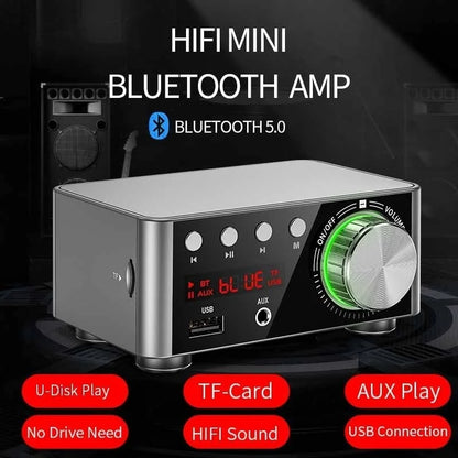 Ultimate Home & Car Audio: Bluetooth 5.0 Mini HiFi Amplifier with USB/AUX In