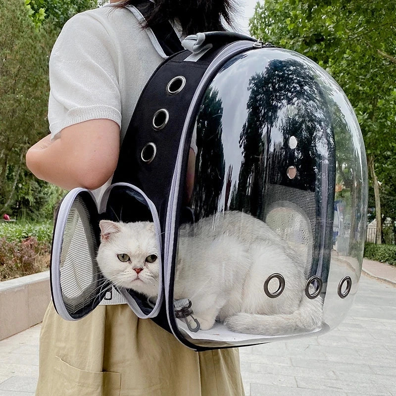 Top Breathable Transparent Pet Backpack for your Cats: Travel in Style