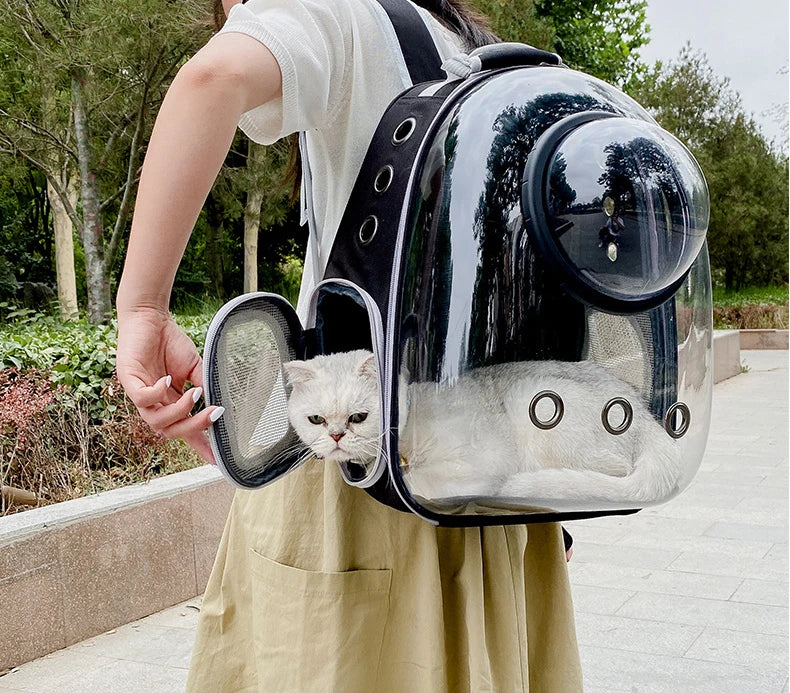 Top Breathable Transparent Pet Backpack for your Cats: Travel in Style