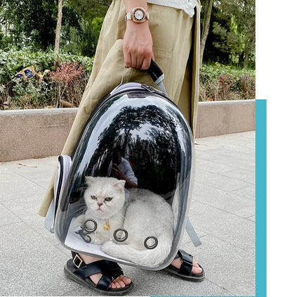 Top Breathable Transparent Pet Backpack for your Cats: Travel in Style