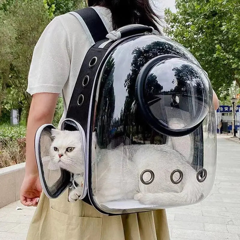 Top Breathable Transparent Pet Backpack for your Cats: Travel in Style