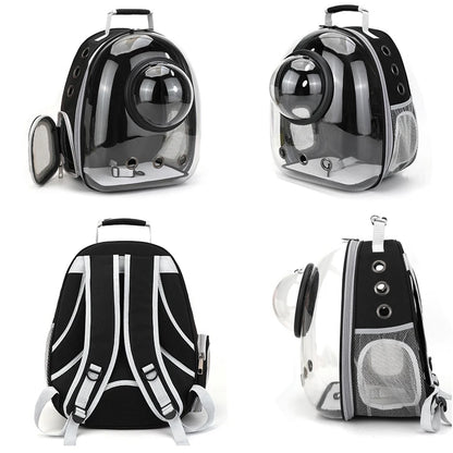 Top Breathable Transparent Pet Backpack for your Cats: Travel in Style