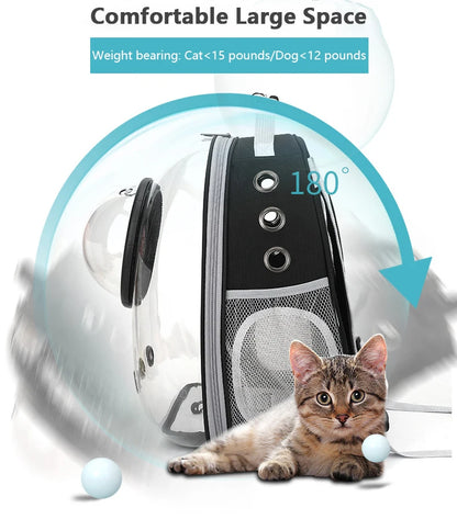 Top Breathable Transparent Pet Backpack for your Cats: Travel in Style