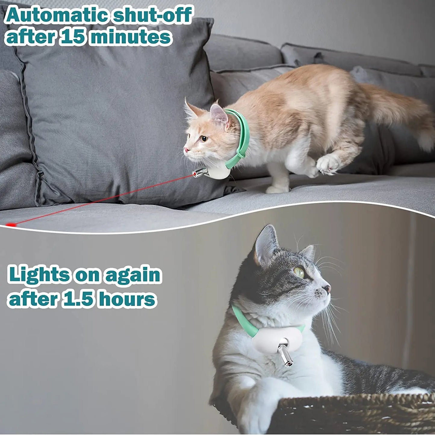 Enhance Your Cat's Playtime with the Smart Laser Teasing Collar