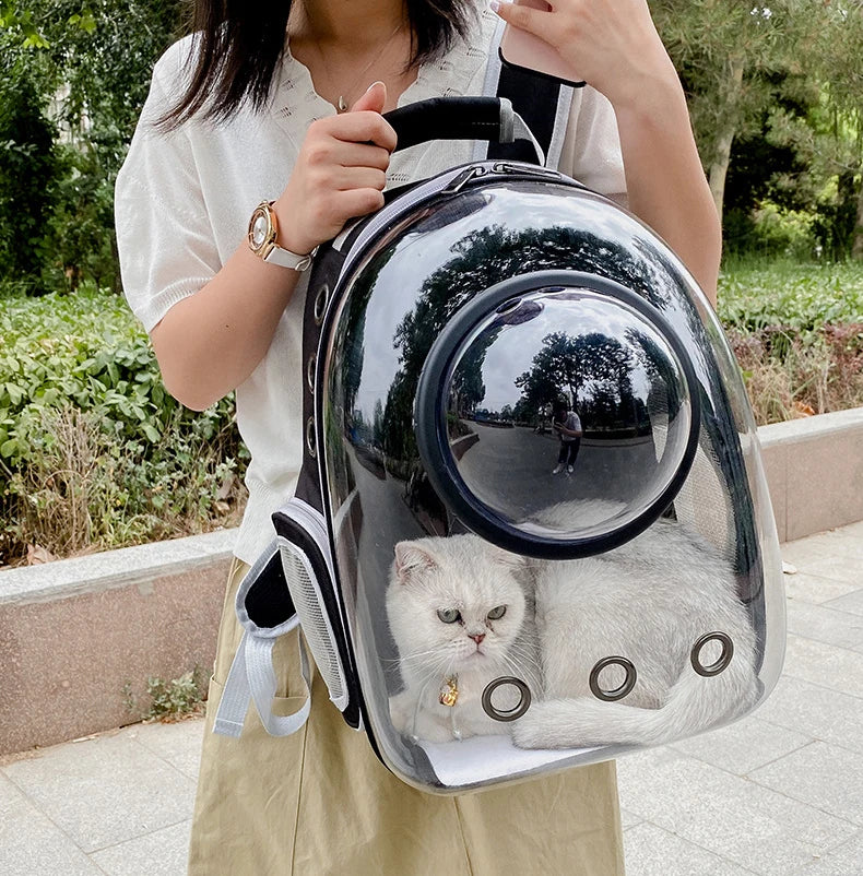 Top Breathable Transparent Pet Backpack for your Cats: Travel in Style