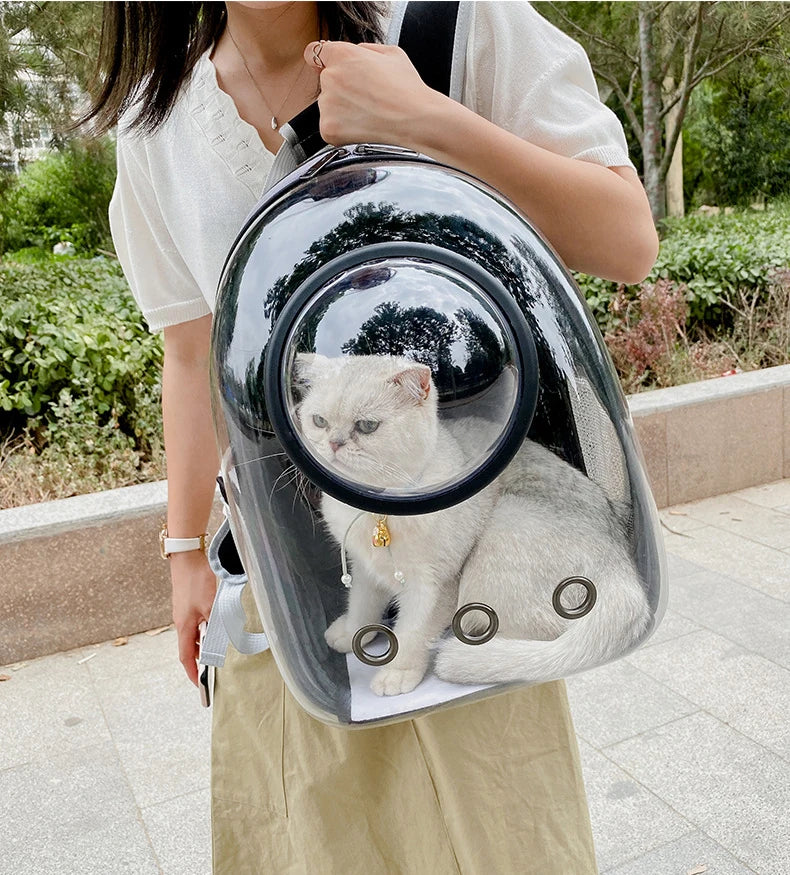 Top Breathable Transparent Pet Backpack for your Cats: Travel in Style