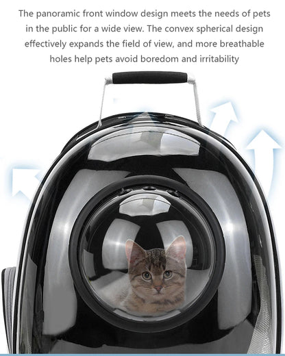 Top Breathable Transparent Pet Backpack for your Cats: Travel in Style