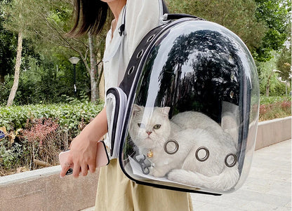 Top Breathable Transparent Pet Backpack for your Cats: Travel in Style