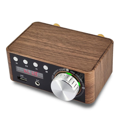 Ultimate Home & Car Audio: Bluetooth 5.0 Mini HiFi Amplifier with USB/AUX In