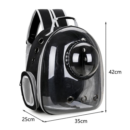 Top Breathable Transparent Pet Backpack for your Cats: Travel in Style