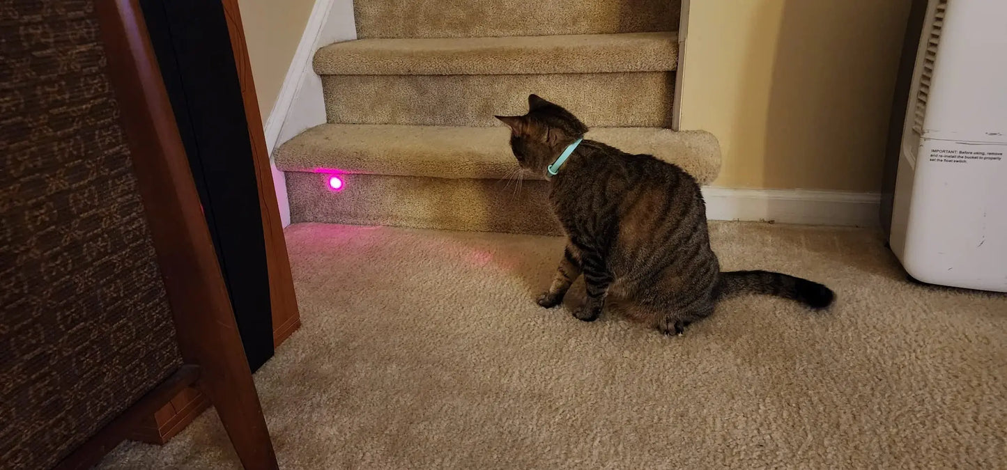 Enhance Your Cat's Playtime with the Smart Laser Teasing Collar