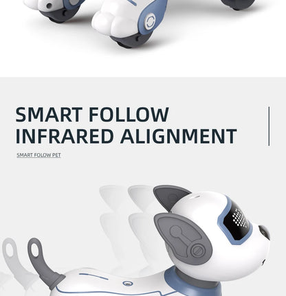 Funny and Programmable Robot Dog: Stunt-Packed RC Pet for Kids' Fun