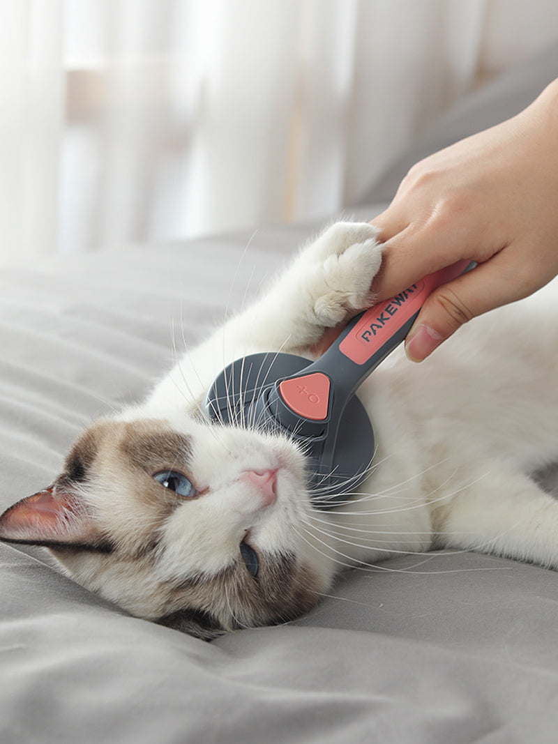 Brosse peigne pour chat Kimpets - Conçue de manière confortable et ergonomique pour nettoyer les poils morts de votre chat