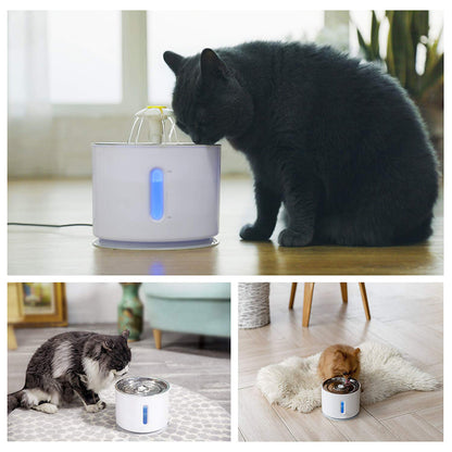 Fontaine à eau pour chat alimentée par USB - Filtre à charbon actif Distributeur électrique automatique Bols Abreuvoir pour chats 