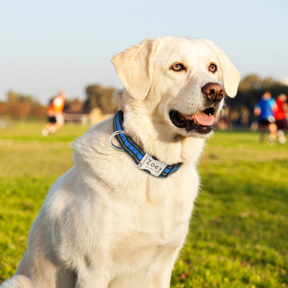 Collar de nailon personalizado para perros - Etiqueta de identificación grabada con placa reflectante para perros pequeños, medianos y grandes 